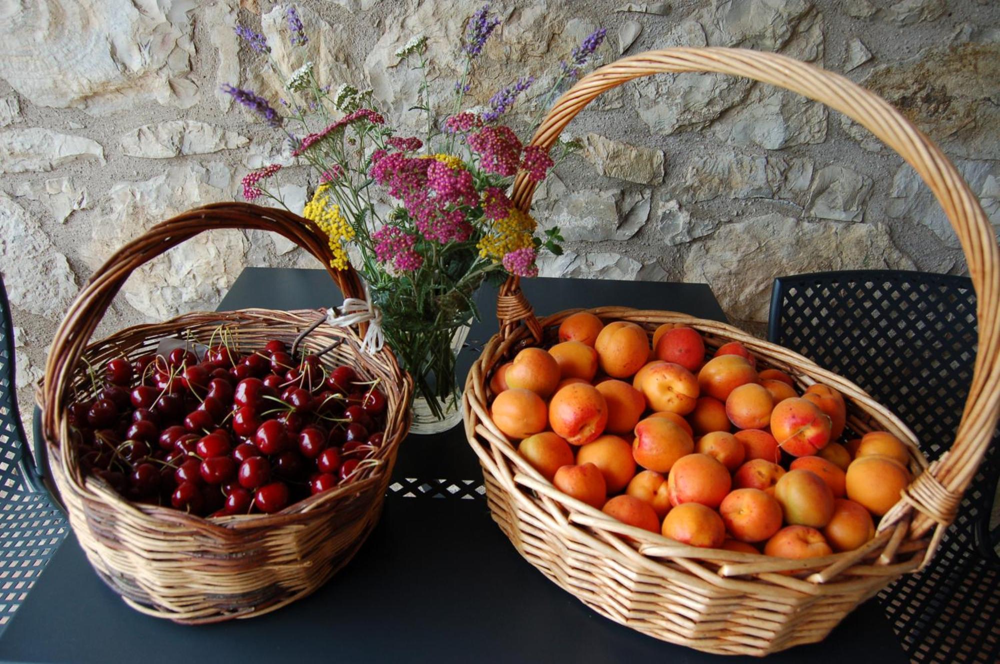 Вилла Agriturismo Podere Prasiano Marano sul Panaro Экстерьер фото