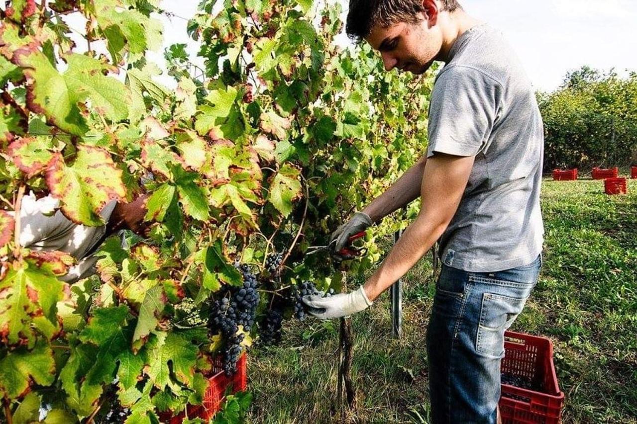 Вилла Agriturismo Podere Prasiano Marano sul Panaro Экстерьер фото