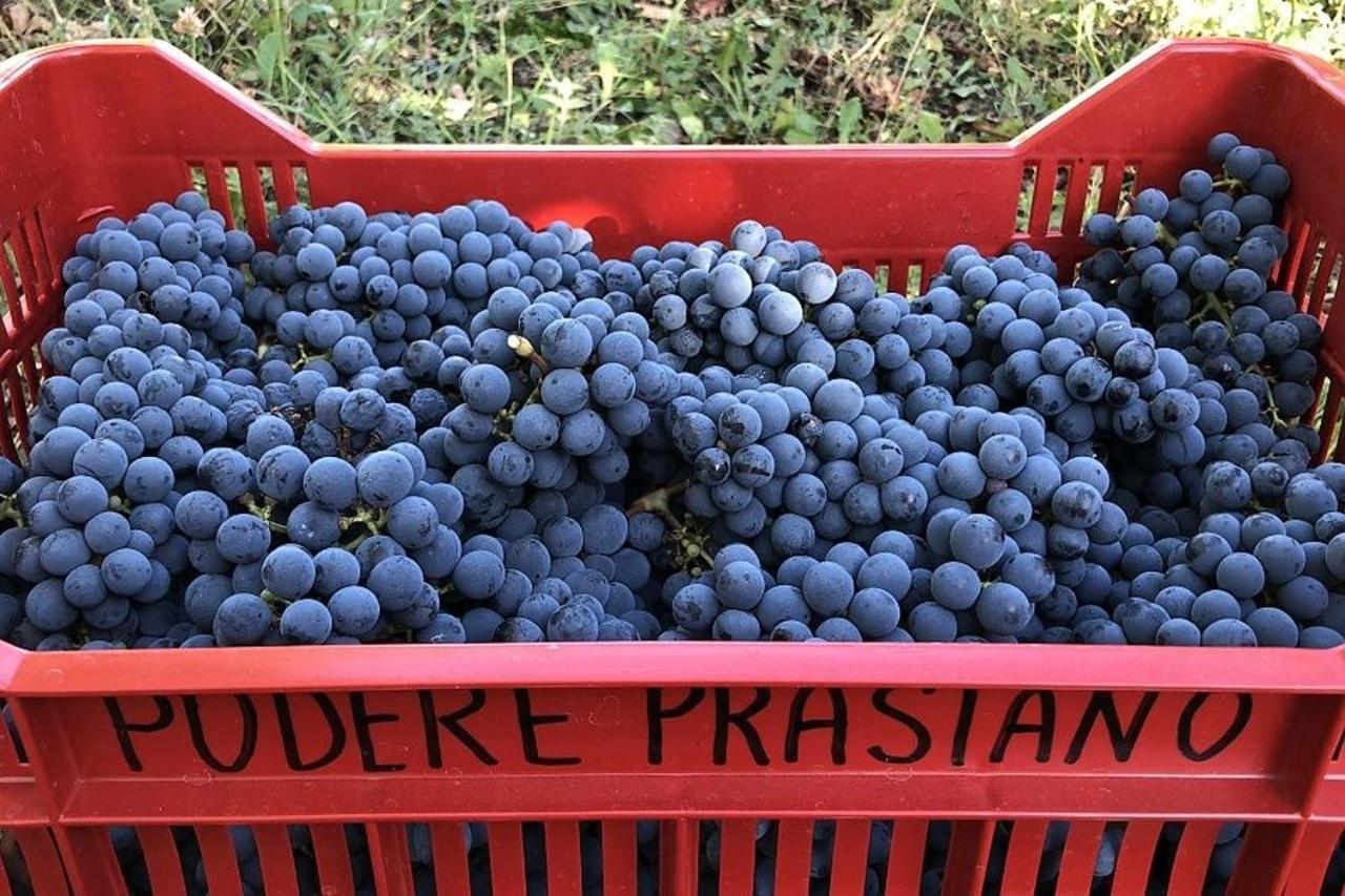 Agriturismo Podere Prasiano Marano sul Panaro Экстерьер фото