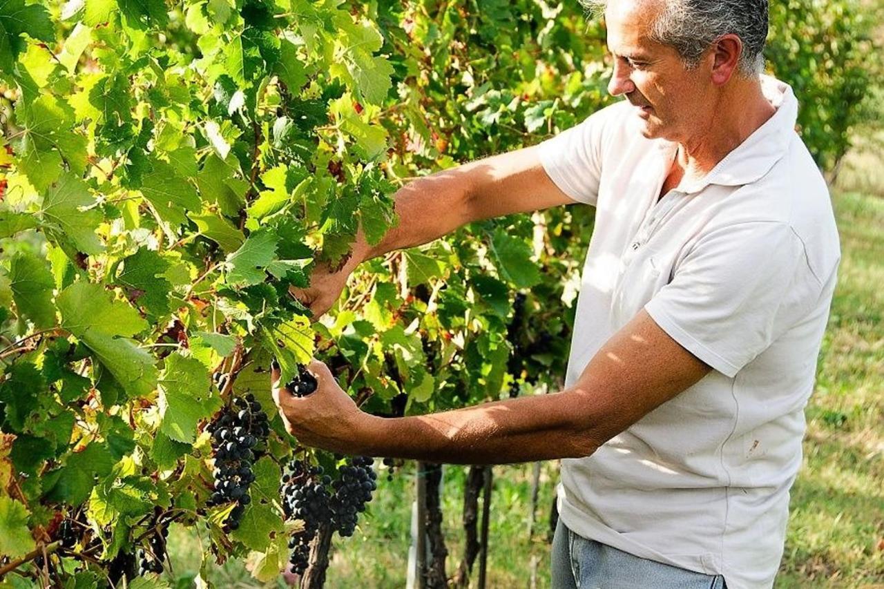Agriturismo Podere Prasiano Marano sul Panaro Экстерьер фото
